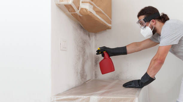 Professional Crawl Space Mold Remediation technician working in Morganville, NJ