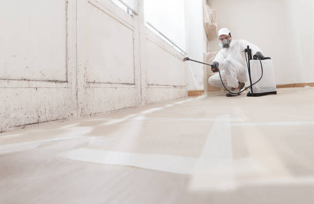 24/7 Emergency Crawl Space Mold Remediation experts in Morganville, NJ