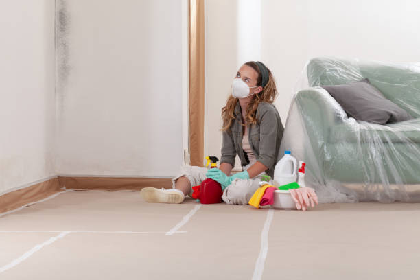 Reliable Crawl Space Mold Remediation contractor in Morganville, NJ by 24 Hour Mold Removal