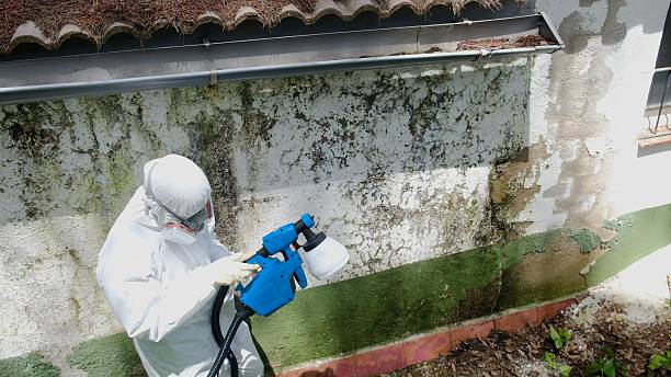 Top rated local Crawl Space Mold Remediation specialists in Morganville, NJ
